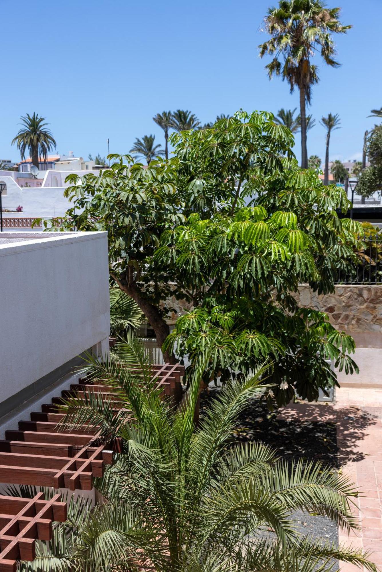 קורלחו Fuentepark Apartments מראה חיצוני תמונה